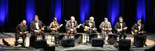 Humour anglais et musique : le Ukulele Orchestra of Great Britain (UOGB)